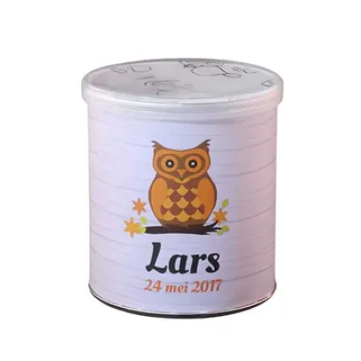 Pringles gezouten chips - uil oranje (40 gram)